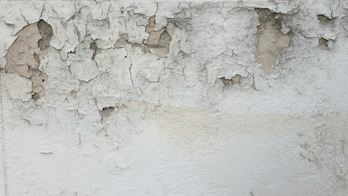 Damp and peeling paint on a wall of a home in Valencia